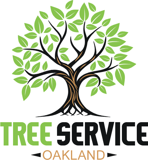 #1 Tree Service Oakland CA- Tree Removal - Trimming